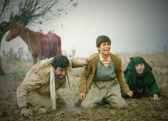 دشت ارغوانی ژاله صامتی