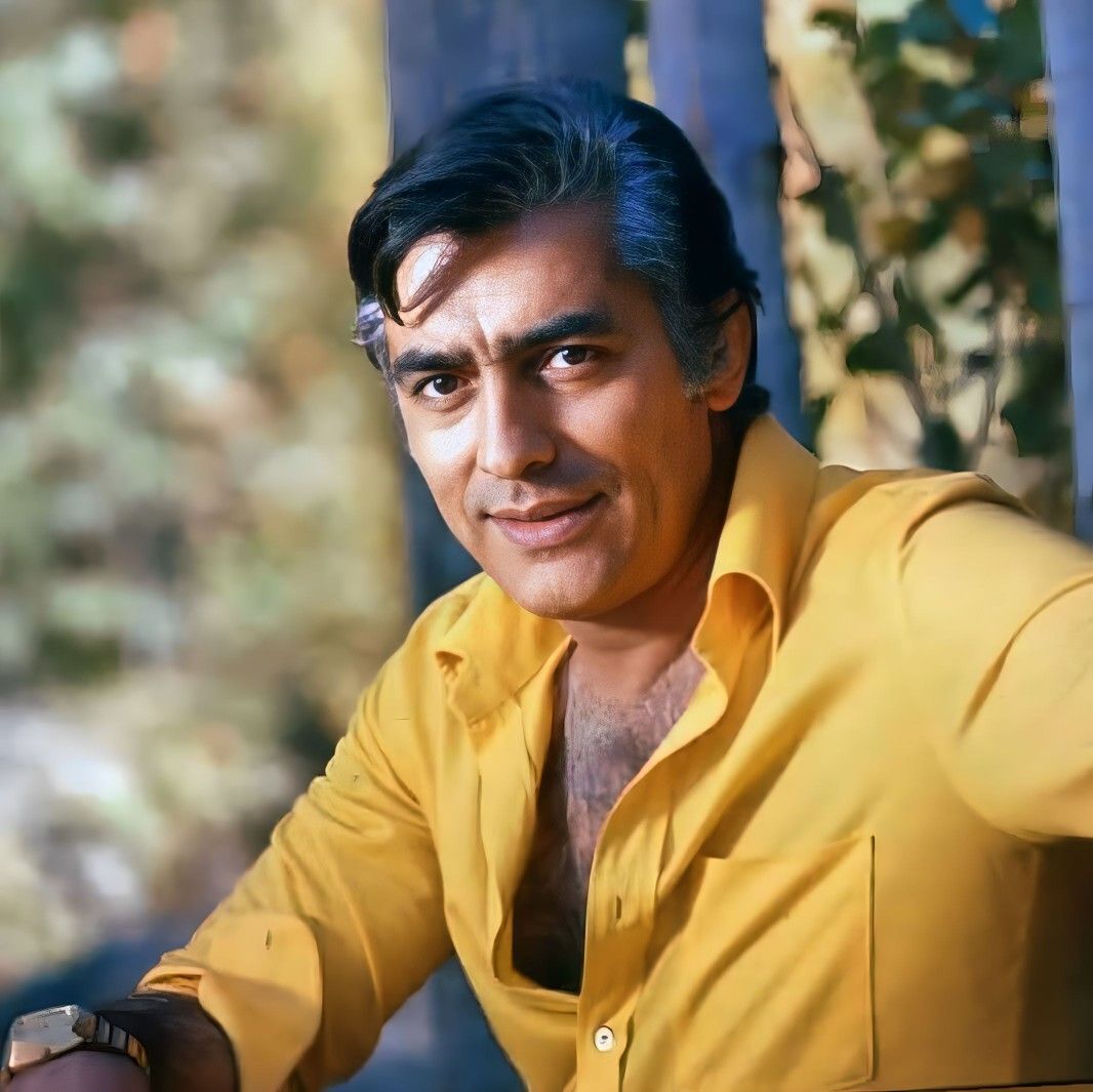 محمدعلی فردین در سینما محمدعلی فردین در سینما